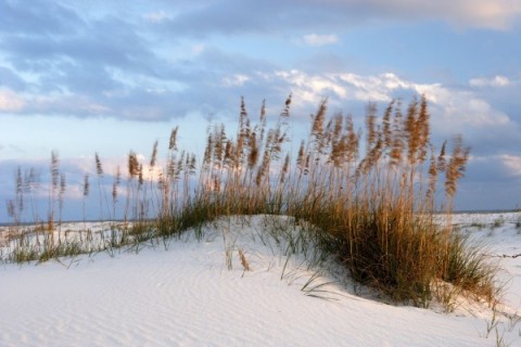 sand dunes at Miramar beach