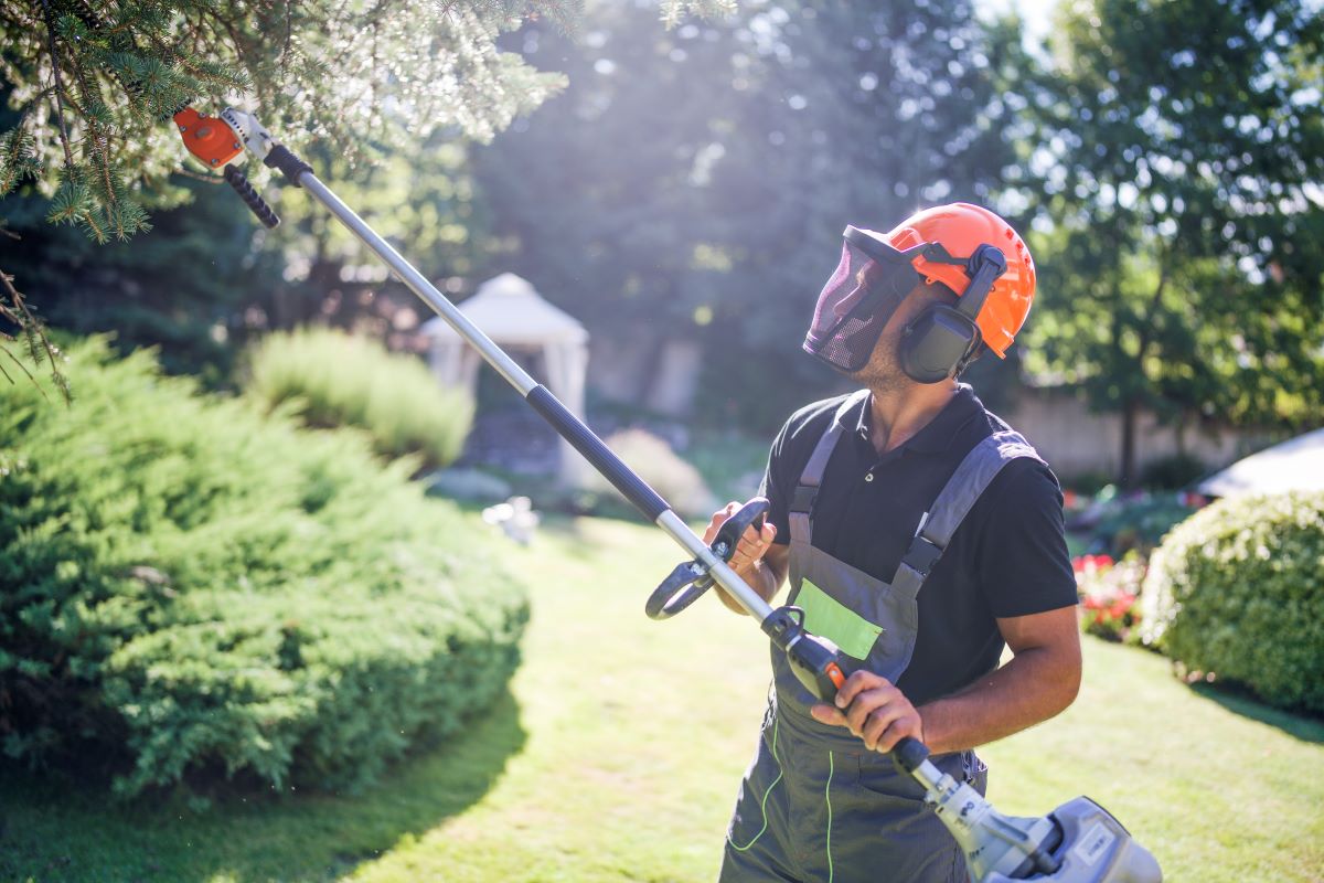 A Landscaper Trims The Hedges and Trees In A Yard